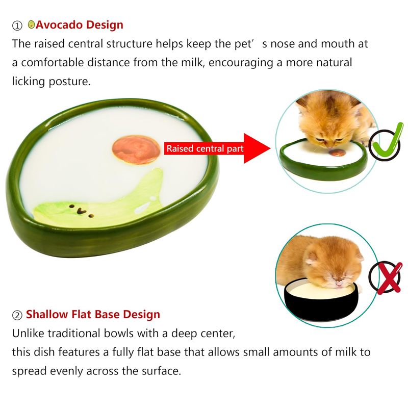 Cat Bowls Baby Cats Kittens Fo - Baby Food Kitten ulasan dan harga