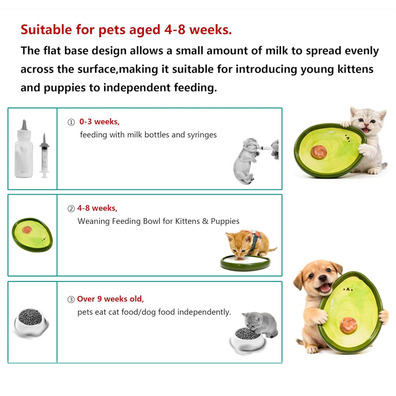 Cat Bowls Baby Cats Kittens Fo - Baby Food Kitten ulasan dan harga